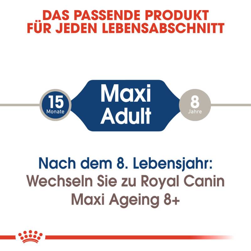 Royal Canin Maxi Adult Hundefutter - Frischebeutel - 10 x 140 g von Royal Canin