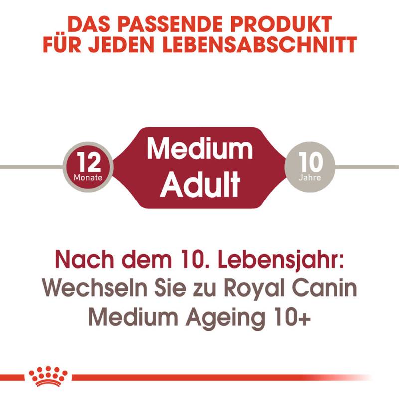 Royal Canin Medium Adult Hundefutter - Frischebeutel - 10 x 140 g von Royal Canin