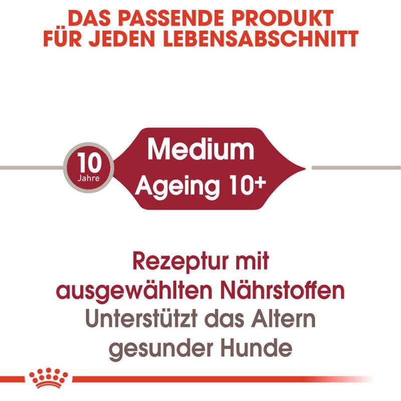 Royal Canin Medium Ageing 7+ Hundefutter - Frischebeutel - 10 x 140g von Royal Canin