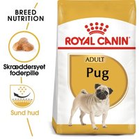 ROYAL CANIN Mops Adult 1,5 kg von Royal Canin