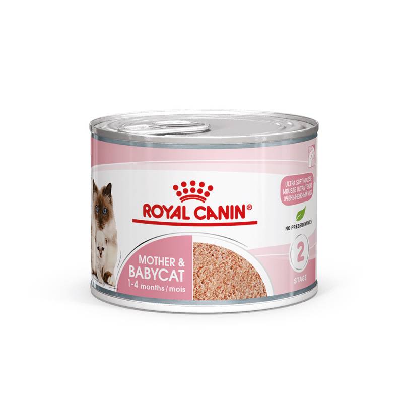 Royal Canin Mother & Babycat Ultra Soft Mousse - Sparpaket: 48 x 195 g von Royal Canin