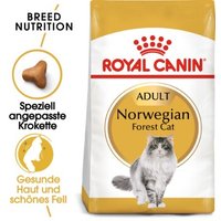 ROYAL CANIN Norwegian Forest Adult 10 kg von Royal Canin