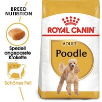 ROYAL CANIN Poodle Adult 3 kg von Royal Canin