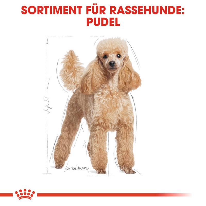 Royal Canin Poodle Adult Hundefutter - 1,5 kg von Royal Canin