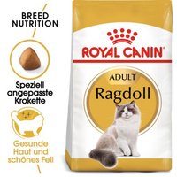 ROYAL CANIN Ragdoll Adult 10 kg von Royal Canin