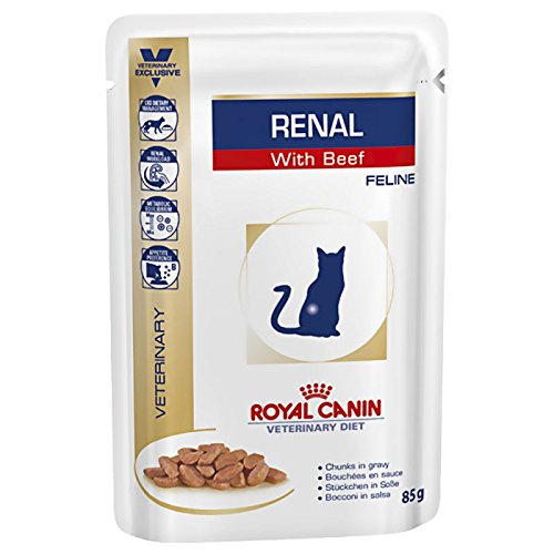 Royal Canin Renal, Spezialkatzenfutter mit Rindfleisch, bei Nierenproblemen, 48 x 85 g. von Royal Canin