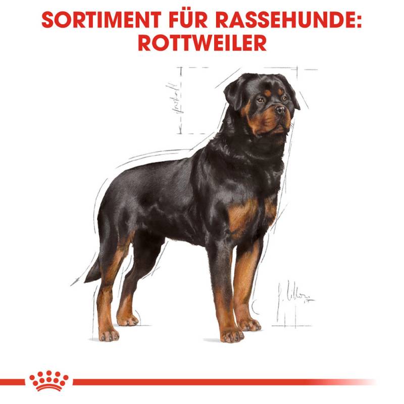 Royal Canin Rottweiler Adult Hundefutter - 12 kg von Royal Canin