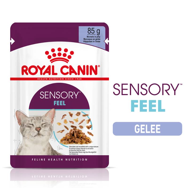 Royal Canin Sensory Feel in Gelee - 12 x 85 g von Royal Canin