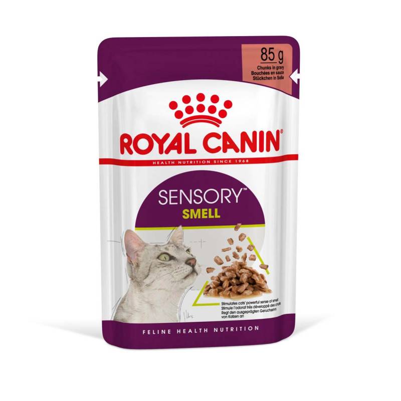 Royal Canin Sensory Smell Gravy 12x85g von Royal Canin