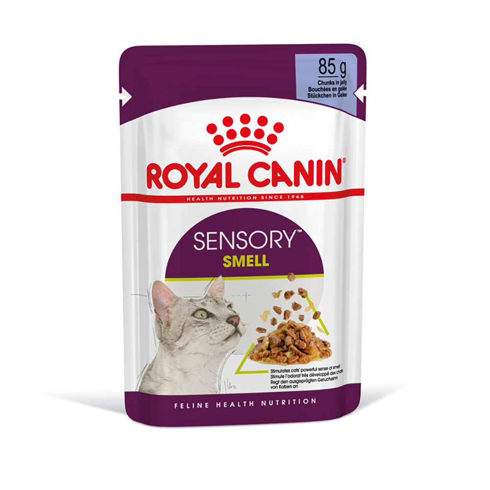 Royal Canin Sensory Smell in Gelee - 12 x 85 g von Royal Canin