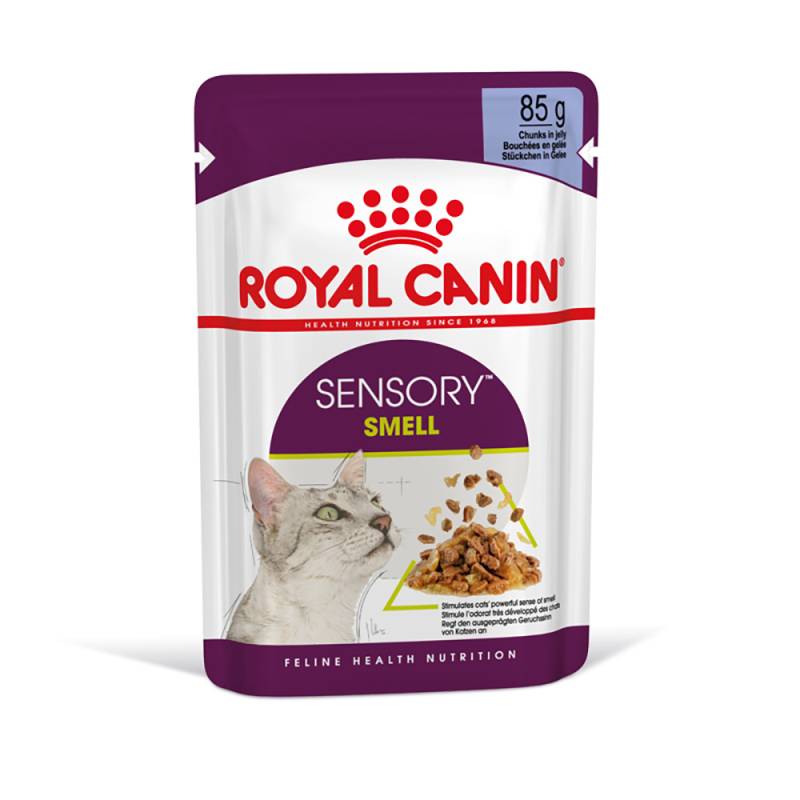 Royal Canin Sensory Smell in Gelee - Sparpaket: 24 x 85 g von Royal Canin