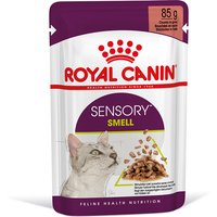 Royal Canin Sensory Smell in Soße - 24 x 85 g von Royal Canin