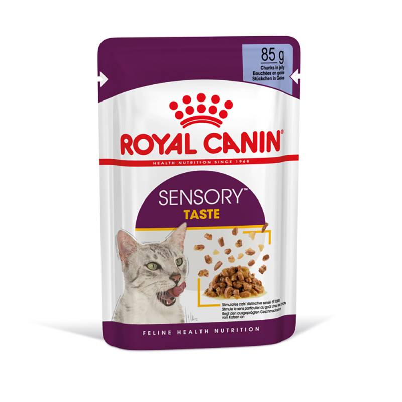 Royal Canin Sensory Taste in Gelee - 12 x 85 g von Royal Canin