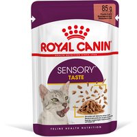 Royal Canin Sensory Taste in Soße - 12 x 85 g von Royal Canin