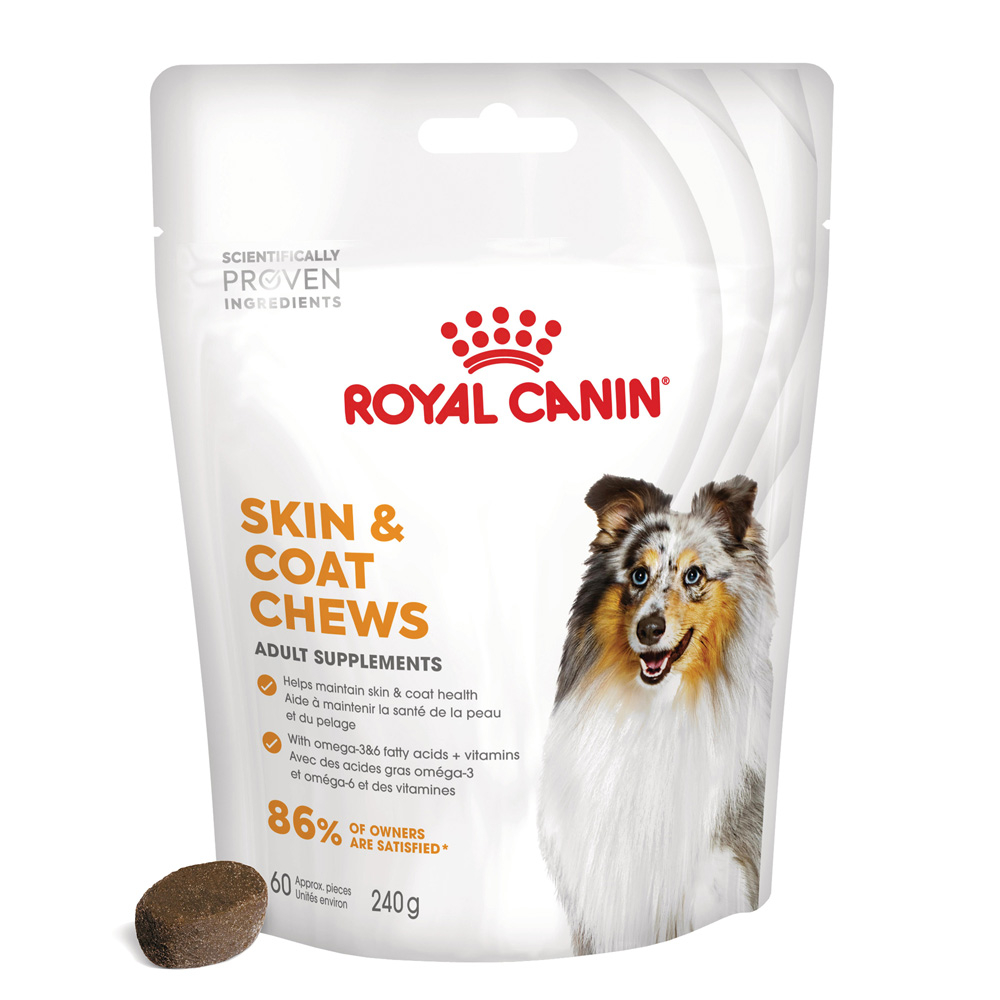 Royal Canin Skin & Coat Adult Kausnacks - Sparpaket: 2 x 240 g von Royal Canin