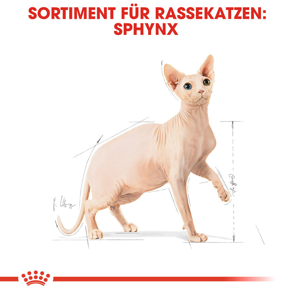 Royal Canin Sphynx Adult Katzenfutter - 10 kg von Royal Canin