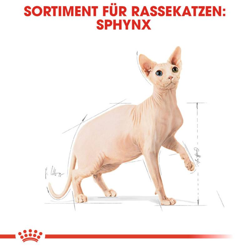 Royal Canin Sphynx Adult Katzenfutter - 2 kg von Royal Canin