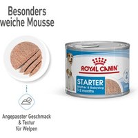 ROYAL CANIN Starter Mother & Babydog Mousse 12x195 g von Royal Canin