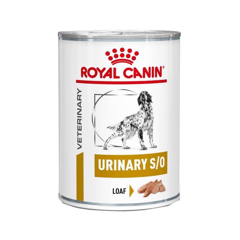 Royal Canin Urinary S/O Hund Dosen 2 x 12 x 410 g von Royal Canin