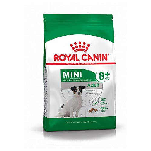 RoyalCanin Mini Adult 2 kg 8+ Futter für Hunde kleiner Rassen und Spielzeug, gastrointestinales Futter mit großem Geschmack, kontrolliert das Gewicht, entfernt Zahnstein und hält Haar und Haut gesund von RoyalCanin