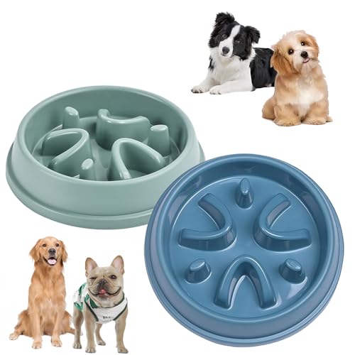 Roysmart 2 Stück Anti Schling Napf Hund, Antischlingnapf für Hunde Slow Feeder Hund Langsame Fressen Futternapf für Kleine und Mittelgroße Haustiere, 21X4,5cm von Roysmart