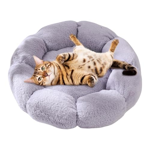 Katzenbetten für Indoor-Katzen, weich, warm, Katzenbett, Blumen-Katzenhöhle, beruhigendes Plüsch-Haustierbett, waschbar, Katzennest für kleine Katzen und Indoor-Hunde, bequemes und gemütliches Bett von Rproonay