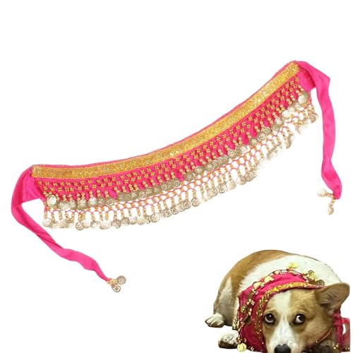 Hunde-Tänzer-Kostüm, Halloween-Kostüm, Welpen-Bauchtanz-Outfit, Hüft-Wickelgürtel für Hunde, Goldmünzen-Hundekostüm, Musik-Festival-Haustierkostüm, verstellbares Hundekleid, Haustier-Kostüm, von Rqrdww