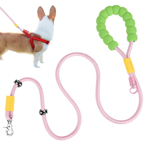 Starke Hund Walking Kette Gepolsterter Griff Hundeleine Große Hund Walking Leine Outdoor Hundeleine Mittlere Hund Stabile Hundeleine für Spaziergänge Gepolstertes Hundeseil für Hund von Rqrdww