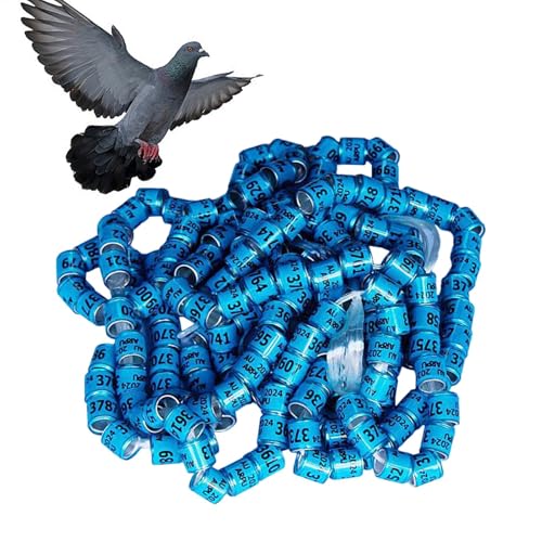 Rrlihjgu 50 Stück Taubenringe Taubenzubehör Bänder 8mm Taubenringe Tauben Fußringe Vogel Fußringe Geflügel Band Tauben-Beinringe Klemmringe Fußring Zum Markierung Für Vogel,Papagei,Taube,Wachtel von Rrlihjgu