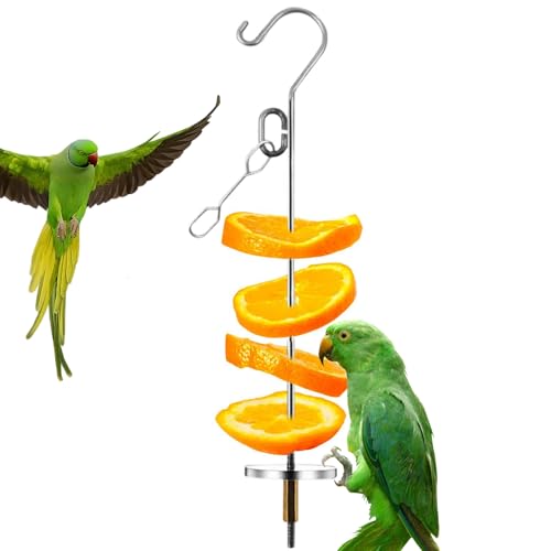 Rrlihjgu Vogelfutter Spieß - Edelstahl Obstspieß Für Vögel - Beschäftigungs- Und Futterspielzeug Als Zimmerschmuck Für Wellensittiche, Nymphensittiche, Unzertrennliche Und Kanarienvögel Rrlihjgu Vogelfutter Spieß - Edelstahl Obstspieß Für Vögel - Beschäftigungs- Und Futterspielzeug Als Zimmerschmuck Für Wellensittiche, Nymphensittiche, Unzertrennliche Und Kanarienvögel von Rrlihjgu