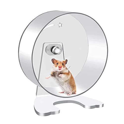 22 cm Hamster Trainingsrad mit Halterung leise Acryl Laufrad für Hamster gerbils Mäuse und andere kleine Haustiere von Rsmmpqa