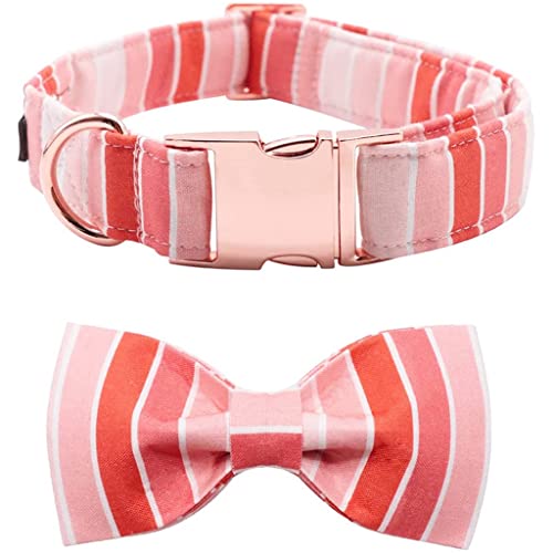 Valentine Hundehalsband mit Fliege, für große, mittelgroße und kleine Hunde (Größe X-Small) (Größe M) von Rsmmpqa