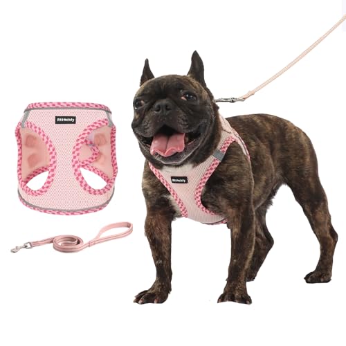 Rttochfy Hundegeschirr Kleine Hunde, Weich und Reflektierend Welpengeschirr, Hundegeschirr und Leine, Set für kleine Hunde, Training, Spazierengehen (Rosa XS) von Rttochfy