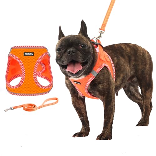 Rttochfy Kleine Hunde, weiches und reflektierendes Welpengeschirr, Hundegeschirr und Leine, Set für kleine Hunde, Training, Spazierengehen (Orange, M) von Rttochfy