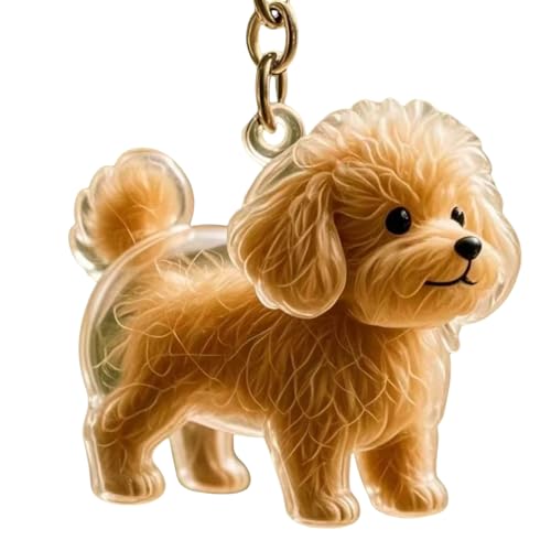 Clear Pet Memorial Schmuck Schmuck Keychain Kunststoff Haustier Haarhalter Hundefell Sammler Andenken Für Trauernde Hundebesitzer Geschenkgedenks Charme Aufbewahrungsschachtel Clear Pet Memorial Schmuck Schmuck Keychain Kunststoff Haustier Haarhalter Hundefell Sammler Andenken Für Trauernde Hundebesitzer Geschenkgedenks Charme Aufbewahrungsschachtel von Ruarby