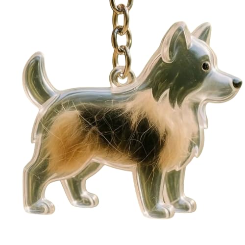 Clear Pet Memorial Schmuck Schmuck Keychain Kunststoff Haustier Haarhalter Hundefell Sammler Andenken Für Trauernde Hundebesitzer Geschenkgedenks Charme Aufbewahrungsschachtel Clear Pet Memorial Schmuck Schmuck Keychain Kunststoff Haustier Haarhalter Hundefell Sammler Andenken Für Trauernde Hundebesitzer Geschenkgedenks Charme Aufbewahrungsschachtel von Ruarby