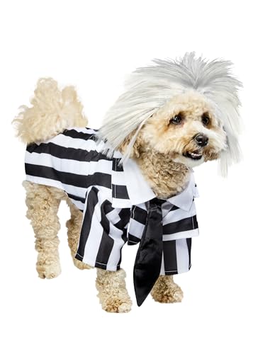 Rubie‘s Official Beetlejuice-Kostüm für Hunde, Größe M Halloween von Rubie's