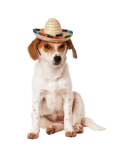 Rubie's Official Sombrero, Kostüm für Hunde, Haustier Halloween von Rubie's