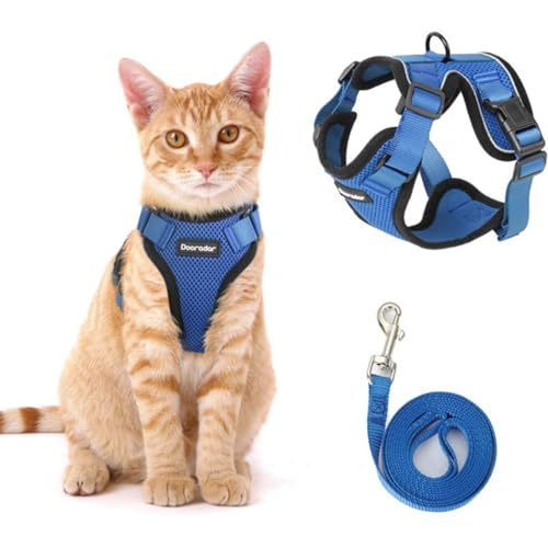 1PCS Katzengeschirr mit Leine Softgeschirr für Katze Brustgeschirr Cat Harness Katzengarnitur ausbruchsicher verstellbar Katzenweste (Blau, S) von Rubu22a