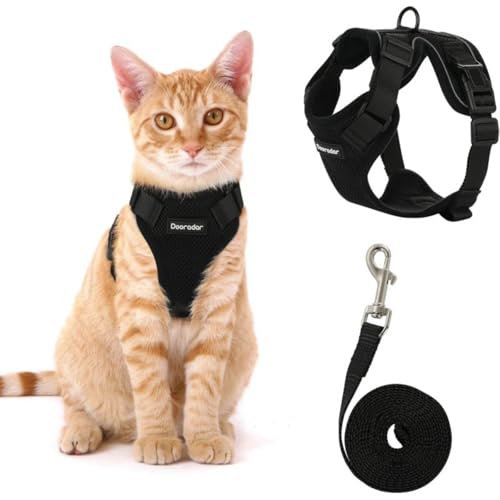 1PCS Katzengeschirr mit Leine Softgeschirr für Katze Brustgeschirr Cat Harness Katzengarnitur ausbruchsicher verstellbar Katzenweste (Schwarz, XS) von Rubu22a