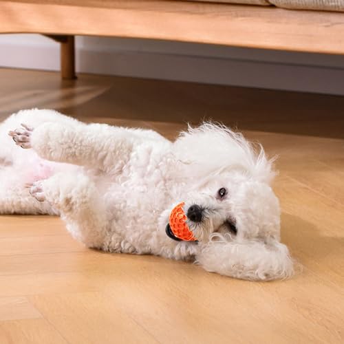 2 Stück Jagdbälle für Hunde – Robuster und vielseitiger Ball – Macht Geräusche-Ball der auf der Wasseroberfläche schwimmt – 6,5 cm Durchmesser (Orange, M) von Rubu22a