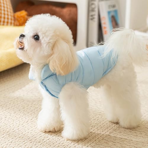 Hundemantel Wasserdicht für Kleine Hunde, Warme Wintermantel Hundejacke Hundepullover Baumwolljacke - Hundemantel Haustier Skifahren Kostüm Ärmellose (Blau, 2XL) von Rubu22a