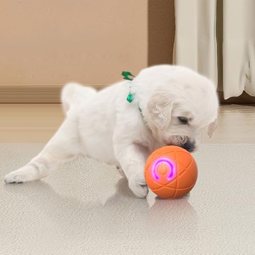 Rubu22a Katzenspielzeug Elektrisch Katzenball mit LED Licht, Automatischer 360 Grad Rollbal Interaktives Katzenspielzeug mit USB Wiederaufladbarer 5-Minuten-Auto-Sleep (B) von Rubu22a