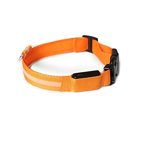 Rubu22a Leuchthalsband Hund, Nylon Einstellbar Hundehalsband Leuchtend, Hundehalsband Leuchtend, Leuchtband Hund, Hundeleuchthalsbänder, Led Halsband für Hunde von Rubu22a