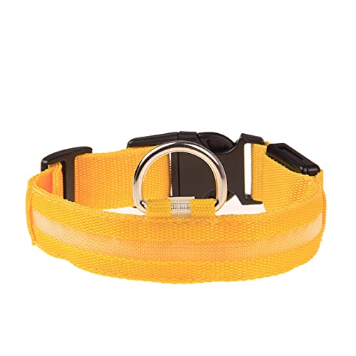 Rubu22a Leuchthalsband Hund, Nylon Einstellbar Hundehalsband Leuchtend, Hundehalsband Leuchtend, Leuchtband Hund, Led Halsband für Hunde, Hundeleuchthalsbänder von Rubu22a