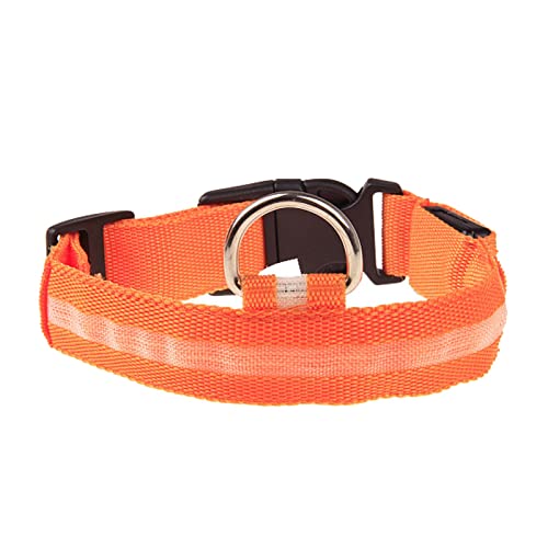 Rubu22a Leuchthalsband Hund, Nylon Einstellbar Hundehalsband Leuchtend, Hundehalsband Leuchtend, Leuchtband Hund, Led Halsband für Hunde, Hundeleuchthalsbänder von Rubu22a