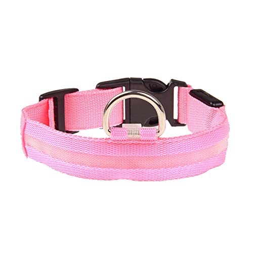 Rubu22a Leuchthalsband Hund, Nylon Einstellbar Hundehalsband Leuchtend, Hundehalsband Leuchtend, Leuchtband Hund, Led Halsband für Hunde, Hundeleuchthalsbänder von Rubu22a