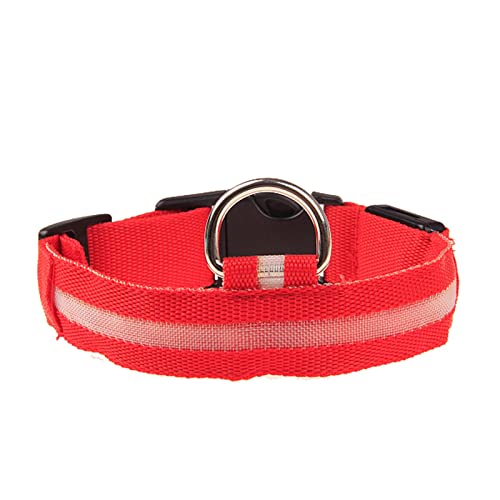 Rubu22a Leuchthalsband Hund, Nylon Einstellbar Hundehalsband Leuchtend, Hundehalsband Leuchtend, Leuchtband Hund, Led Halsband für Hunde, Hundeleuchthalsbänder von Rubu22a