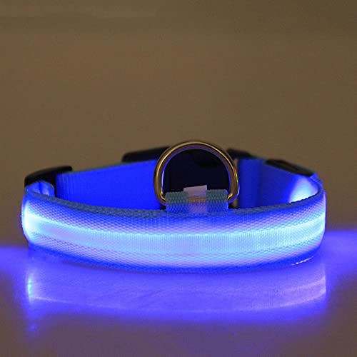 Rubu22a leuchthalsband Hund hundehalsband Leuchtend Hunde leuchthalsband Hund led Halsband für Hunde hundeleuchthalsbänder leuchthalsband leuchtband Hund (B2-Blue, XL) von Rubu22a