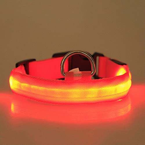 Rubu22a leuchthalsband Hund hundehalsband Leuchtend Hunde leuchthalsband Hund led Halsband für Hunde hundeleuchthalsbänder leuchthalsband leuchtband Hund (B2-Orange, M) von Rubu22a